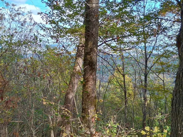 8627 Burks Hollow Rd, Christiana, TN 37037