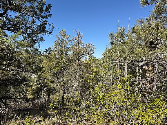 3rd image of 0 E Timber Ln