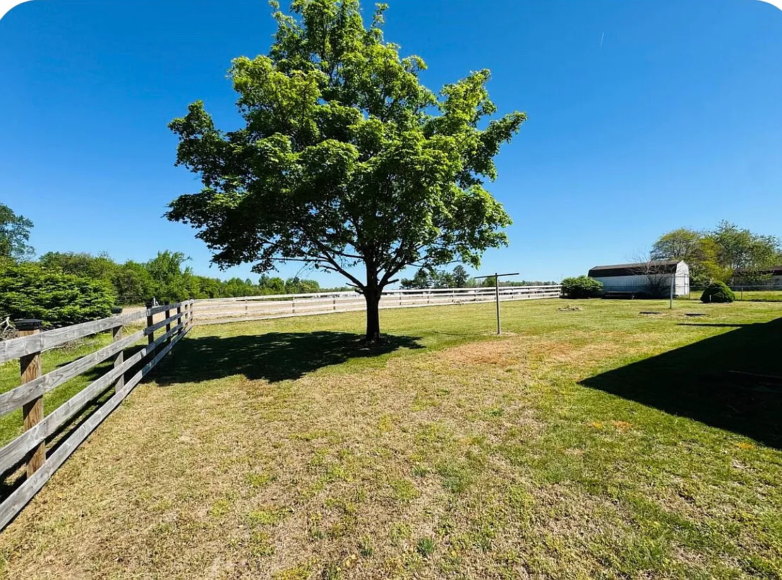 3 bed, 1550 sqft, $2,600 — Photo 3