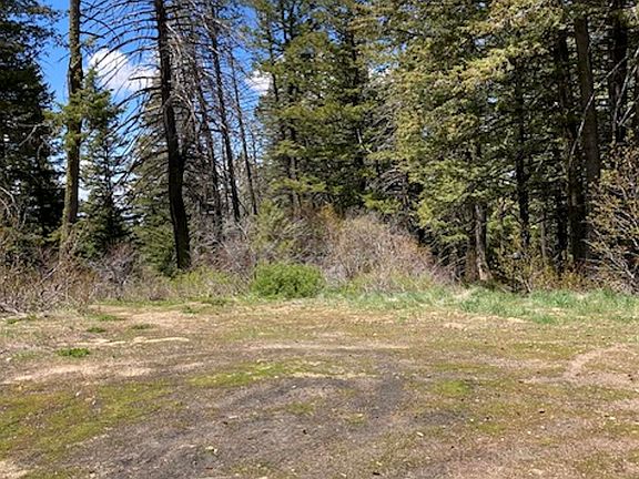 5th image of Tbd Boise Ridge Rd
