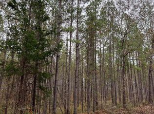 LOT 5 Point Wanita Lake Rd, Chunky, MS 39323