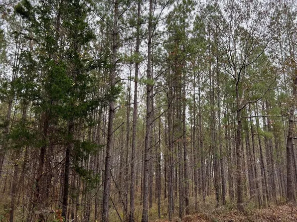 LOT 5 Point Wanita Lake Rd, Chunky, MS 39323