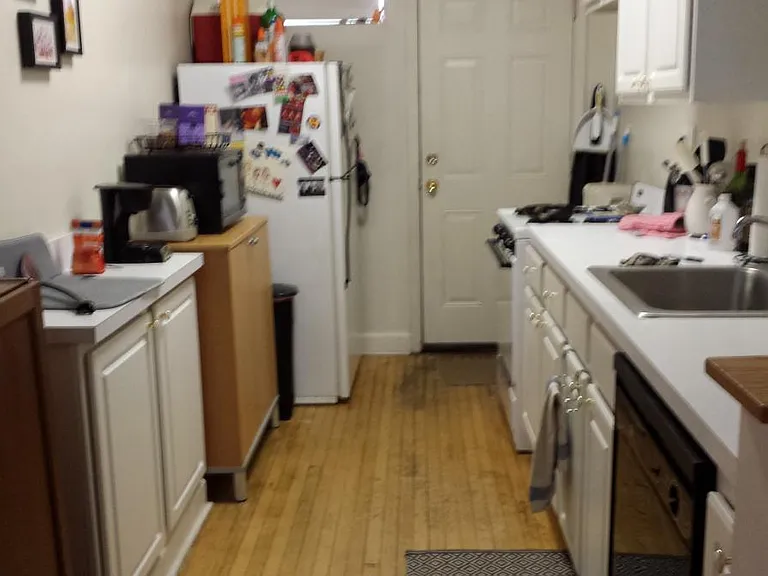 732 W Roscoe St #1S — Photo 14