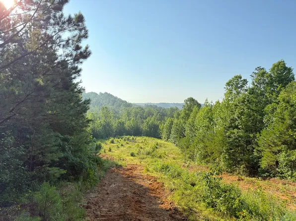 0 Pleasant Hill Rd, Hackleburg, AL 35564