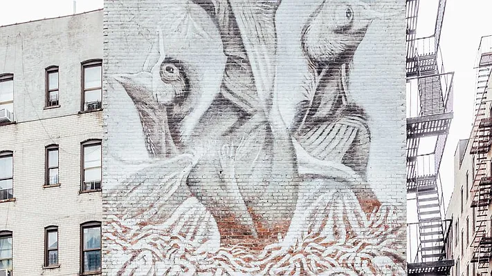 Rented by Nooklyn NYC LLC | media 40