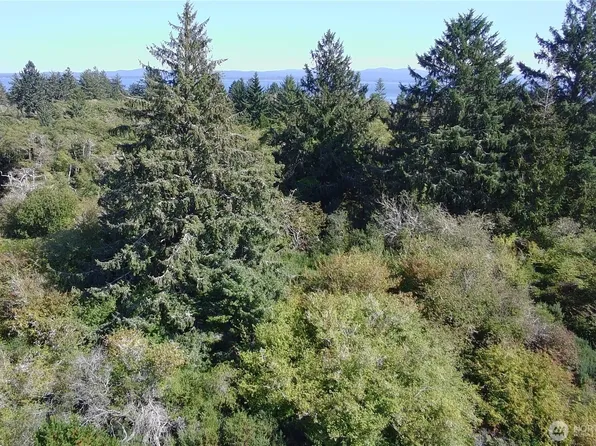 0 Oysterville Road, Oysterville, WA 98641