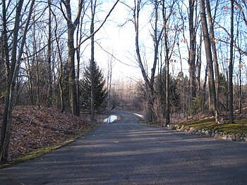 Asphalt driveway leads you  into the tranquil home site, 5 wooded acres recently surveyed.