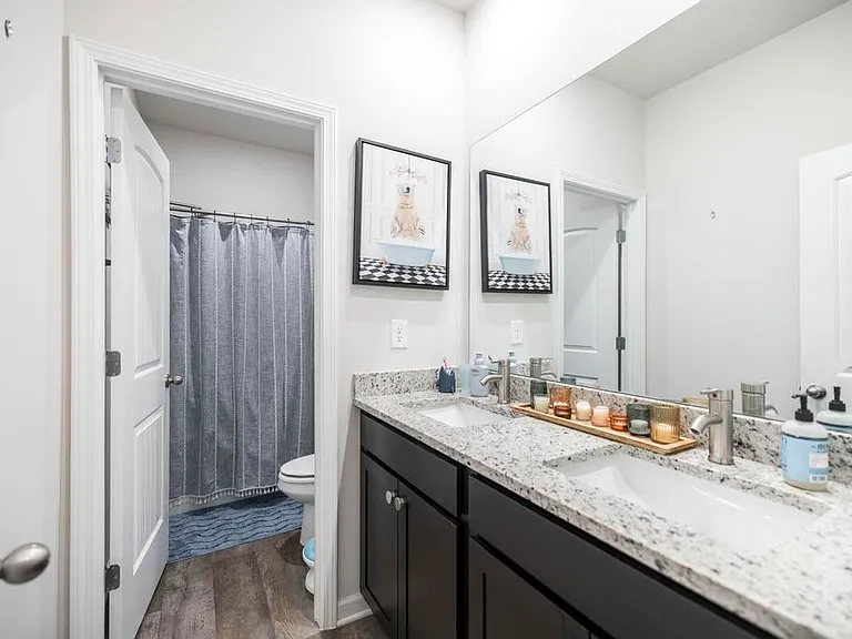 229 Rusty Plow Ln — Photo 21