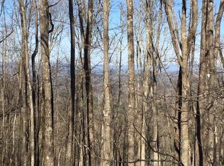 983 Raccoon Rdg NE, Ranger, GA 30734