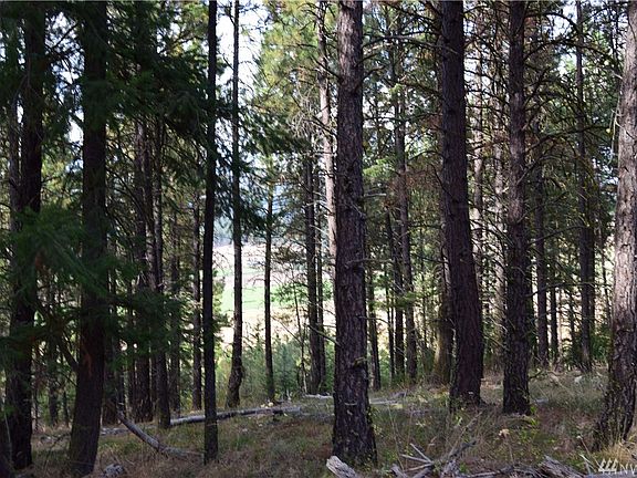 5th image of 9 Forest Grove Way Lot 9