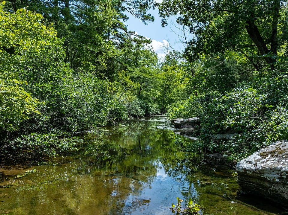 Northwoods Lane Drone 24