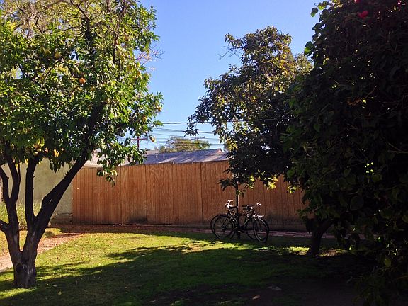 Plenty of Open Space and Trees