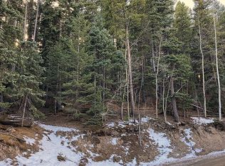 2140 Sinton Rd, Evergreen, CO 80439