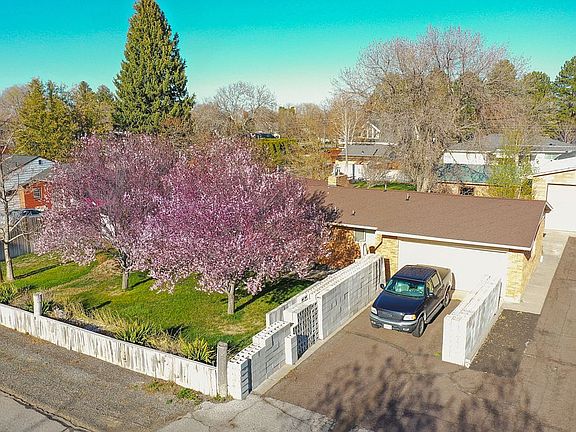 Beautiful Mature Trees