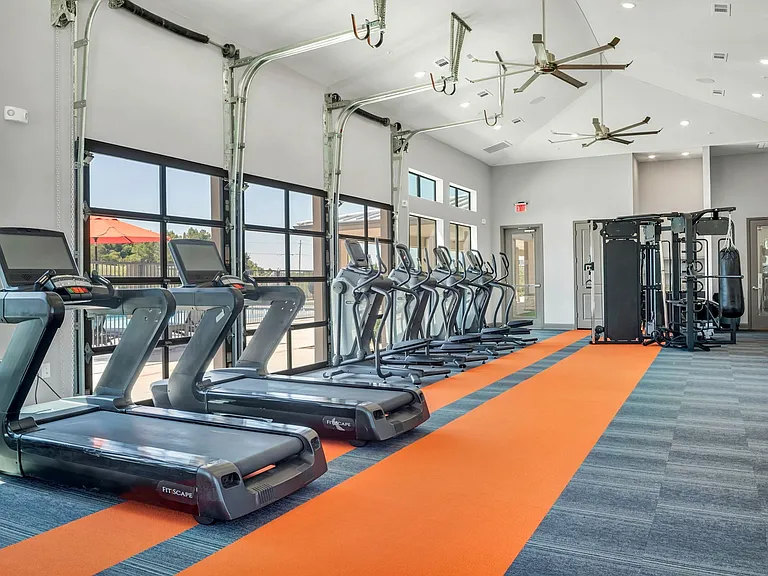 Gym - Cardio Machines