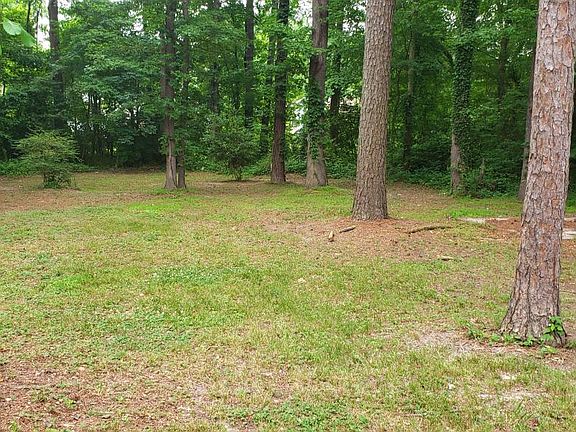 4th image of 2921 Driftwood Dr