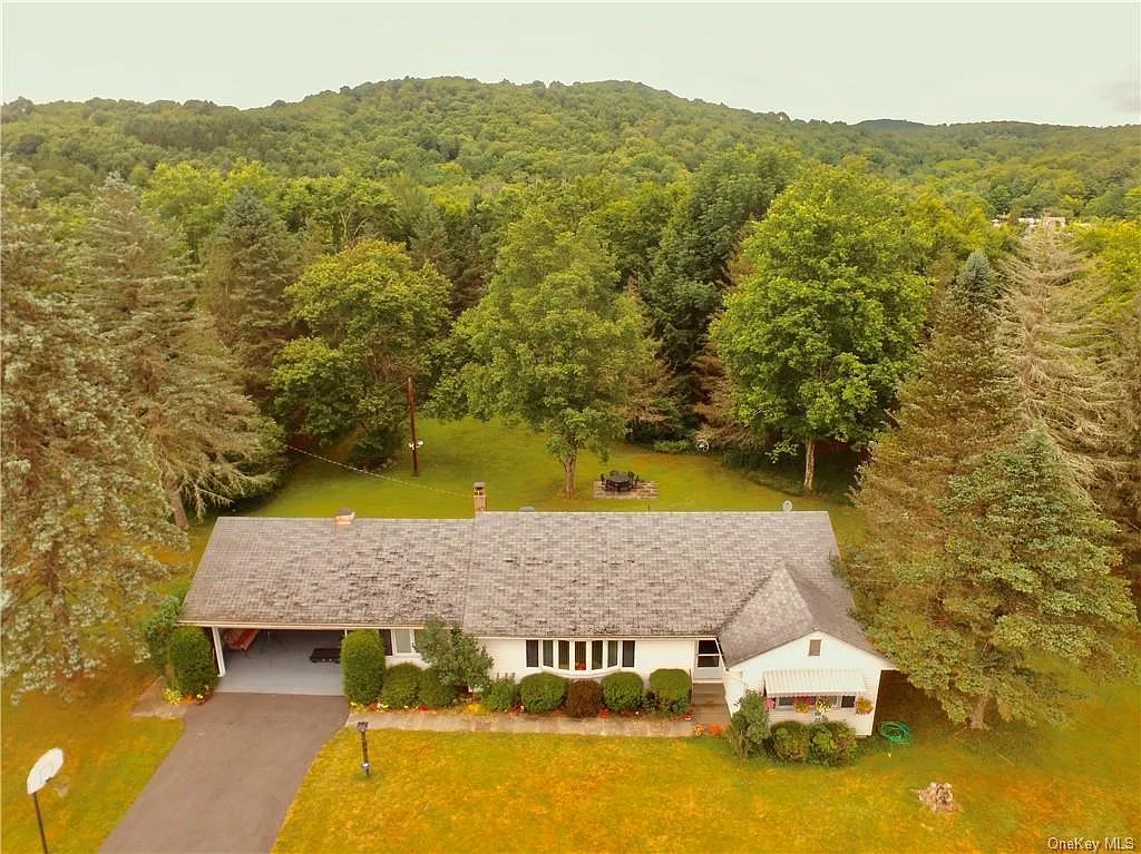 3882 State Route 52 photo 1