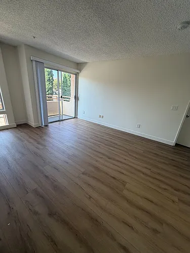 Floor plan 203