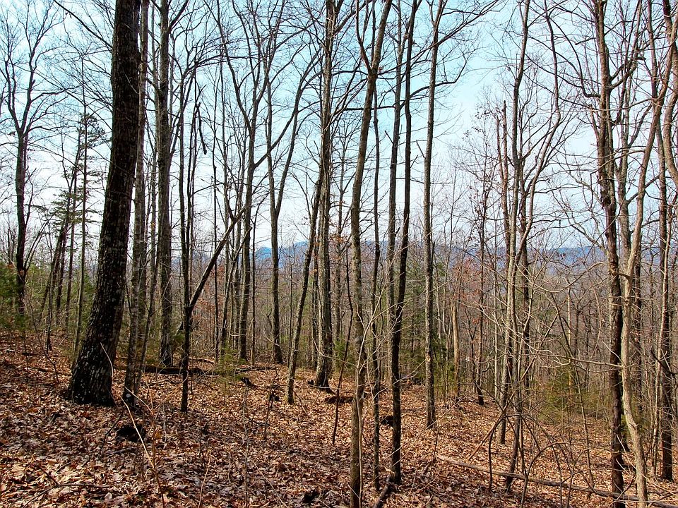 1st image of 5 59 Acres Navarro Dr