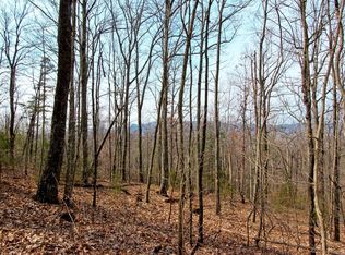 5 59 Acres Navarro Dr, Newport, TN 37821