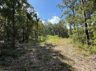 0 SW Boundary Way, Fort White, FL 32038