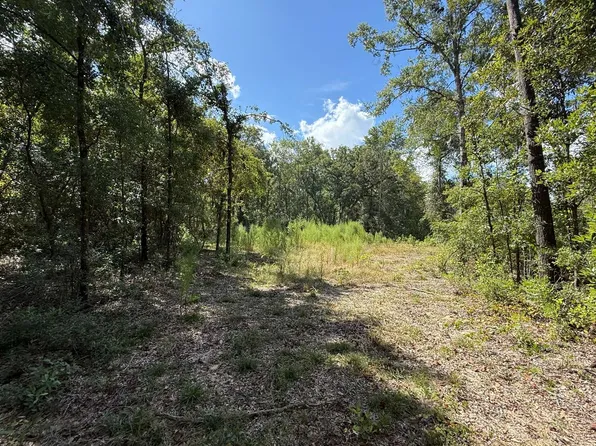 0 SW Boundary Way, Fort White, FL 32038