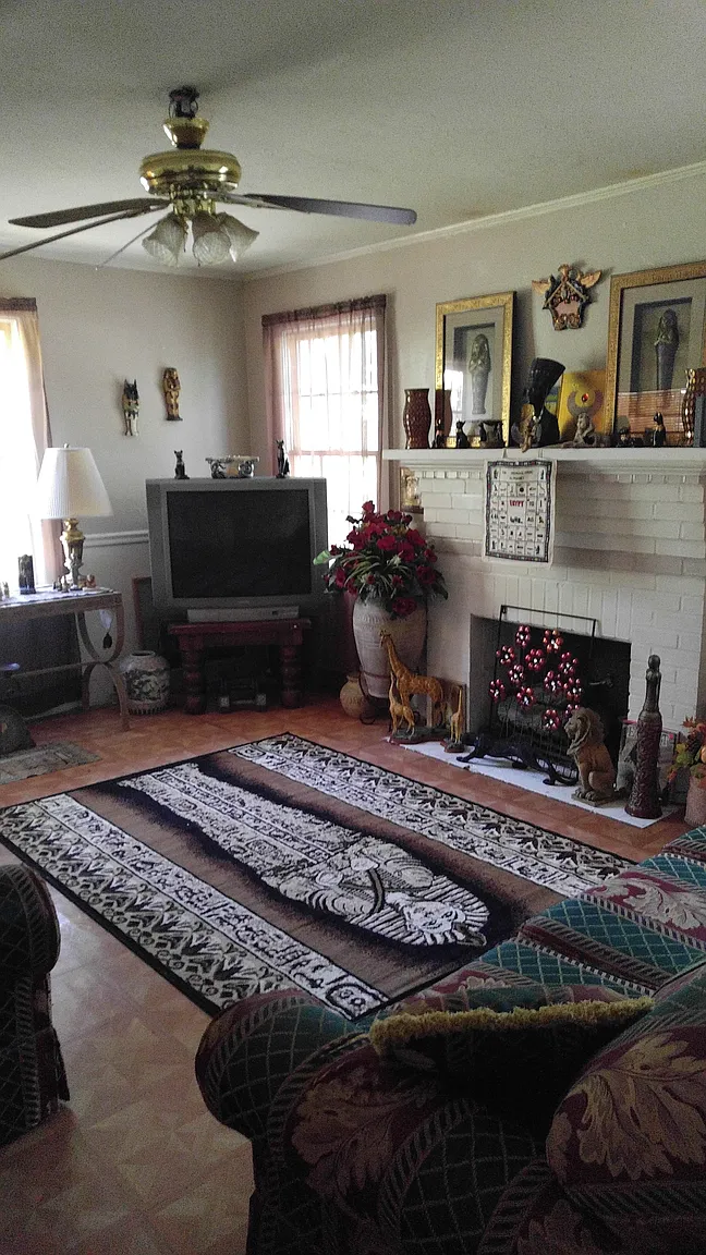 302 Albany St photo 1