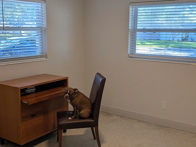 4715 W Coachman Ave — Photo 12