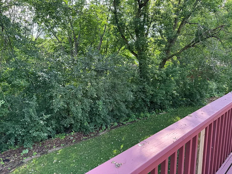 10237 Tarn Cir #10237 — Photo 3