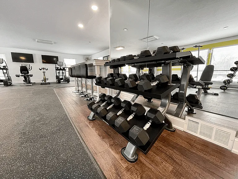 Lots of Free Weights