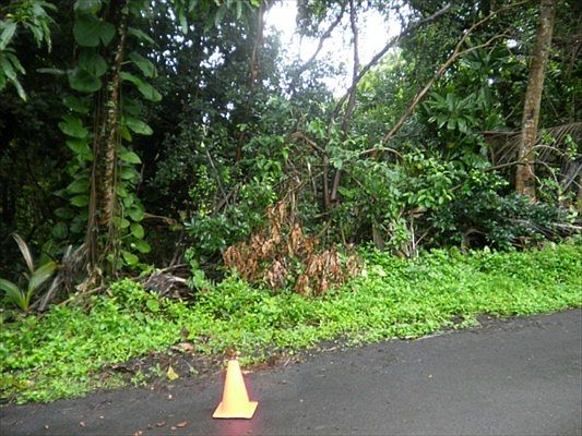 1st image of Mauka Nui Pl