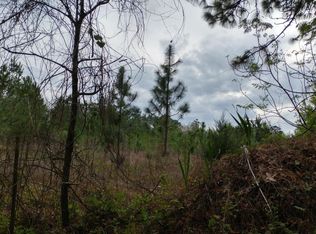 0 Us Highway 17, Green Cove Springs, FL 32043
