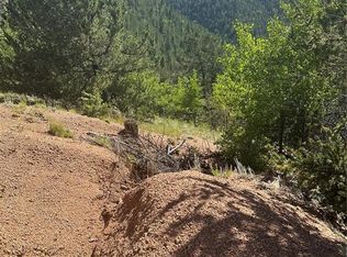 642 Oil Creek Dr, Divide, CO 80814