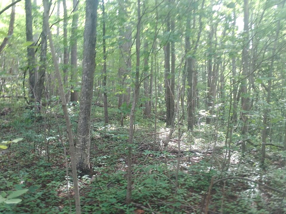 2nd image of 0 Tannies Trl SE