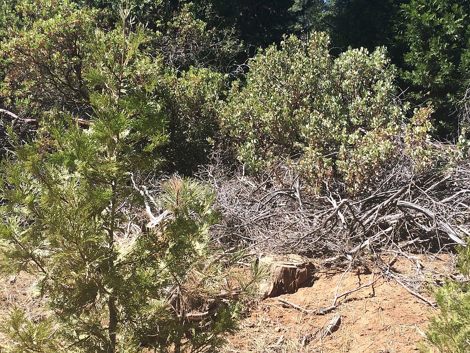 1st image of 26629 High Trees Dr