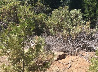 26629 High Trees Dr, Pioneer, CA 95666