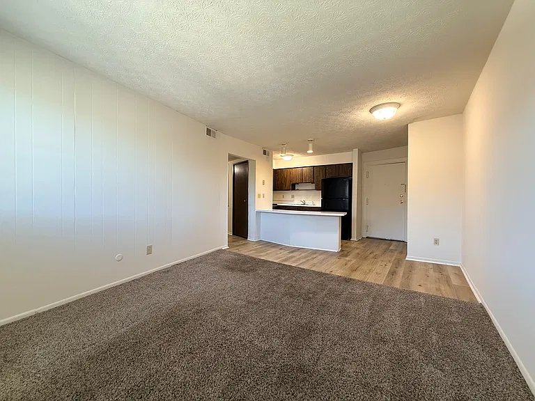 Living Room/Kitchen