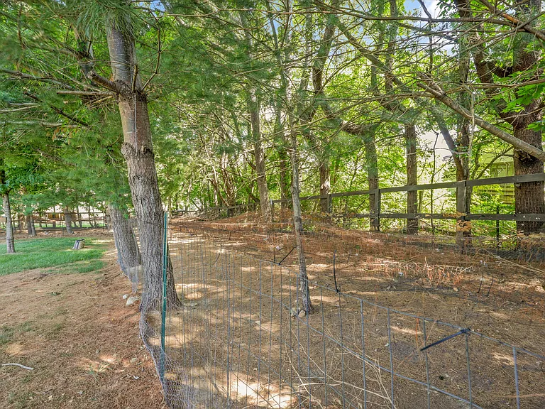 Tressa Cir — Photo 40