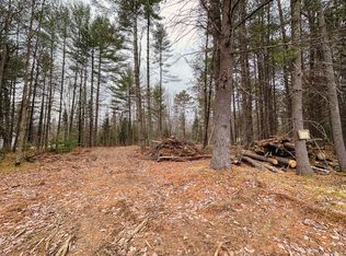 Loon Lake Rd LOT 6, Eagle River, WI 54521