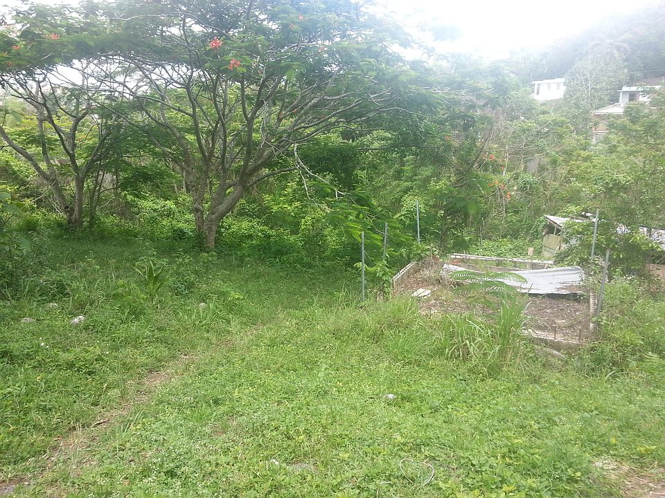 2nd image of EL Campito #5