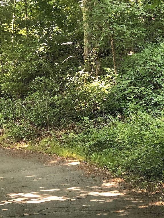 30 Woolford Rd, Wrentham, MA 02093 Zillow