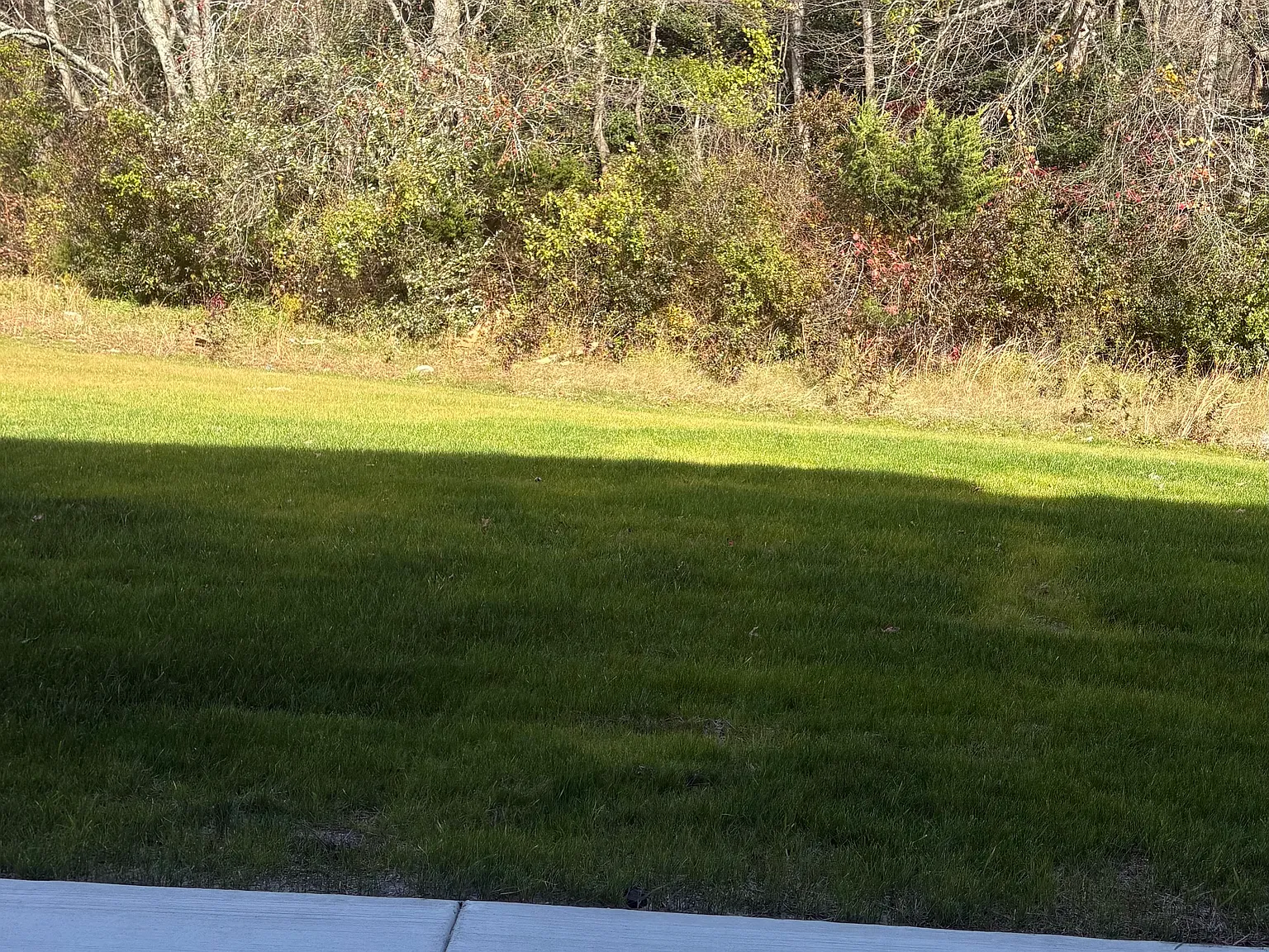 4 bed, 2313 sqft, $3,500 — Photo 4