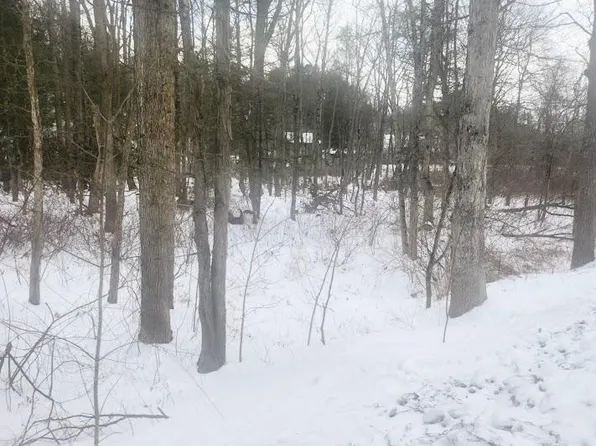 Brush Creek Rd, Breezewood, PA 15533