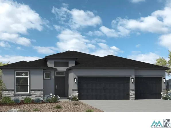 3801 Agave Dr, Carlsbad, NM 88220