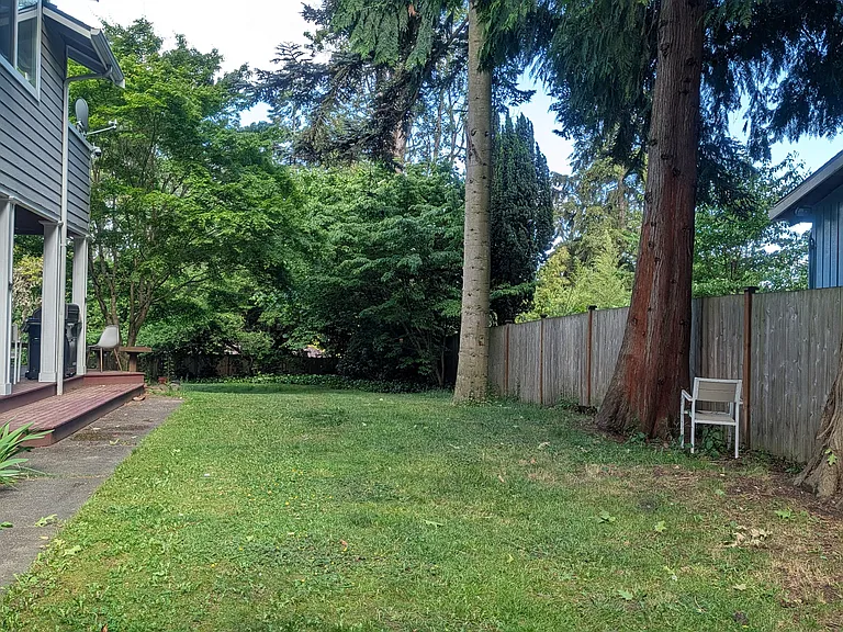 Fenced backyard, shared by some very sweet puppies and the tenant in the main house