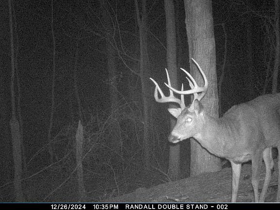 2nd image of 4345 Mount Unger Rd