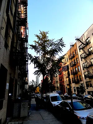 Rented by Prince Real Estate Associates LLC | media 24