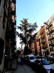 Rented by Prince Real Estate Associates LLC