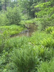 4901 S Spruce Ave, Newaygo, MI, 49337