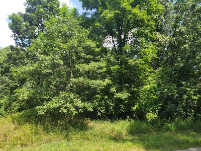 13227 Beckwith Dr NE, Lowell, MI, 49331